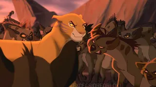 The Lion King : Samafi's tribute