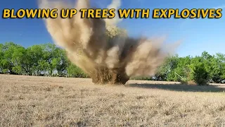 Blowing Up Trees With High Explosives (Tons of Explosions!)