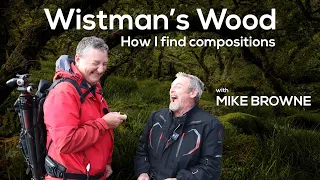 Finding Woodland compositions easily with Mike Browne at Wistman's Wood