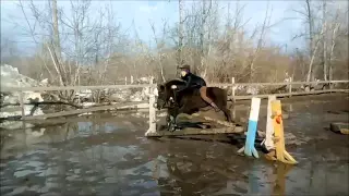 FAIL HORSE and PONY Посадка МС ника