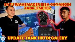 SATU WAVEMAKER BISA GOYANGIN TANK 3 METER | UPDATE TANK HIU DI GALLERY