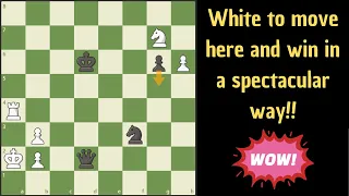 White has a spectacular win variation here!