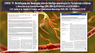 COVID-19: Beteiligung der Neuroglia könnte häufige neurologische Symptome erklären