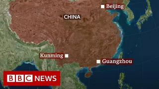 Chinese passenger plane crashes with 132 people on board - BBC News