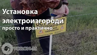 Электропастух | Кошку ударило током 9000 вольт!