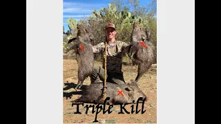 Blowgun Hunting Javelina: Double Kill