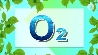 Что? Откуда? Почему? О кислороде, Будапеште, фрилансе и группе «Нервы» - 23/08/21