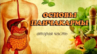 Панчакарма. Детокс. Очищение организма. Аюрведа.