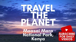 Maasai Mara National Park, Kenya #shorts #kenya #safari #traveltheplanet