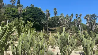 Barcelona Spain Jardins de Mossen Costa I Llobera 4K