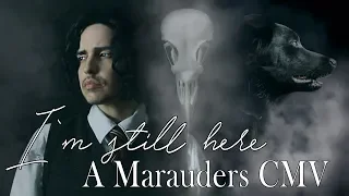 I'm still here | Marauders Era | Sirius Black (CMV)