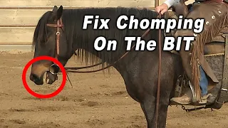 Horse CHOMPING On The BIT and How To Fix It - Horse Training Problems