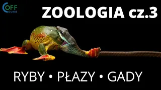 Zoologia cz.3 - RYBY, PŁAZY, GADY - Spotkania maturalne Off Course z BIOLOGII