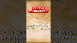 Русский коров никогда не ел #веганство #веды #кришна #крамола