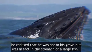 A STORY OF PROPHET YUNUS A.S AND A WHALE