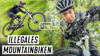 Kampf um den Wald: Förster gegen Mountainbiker | STRG_F