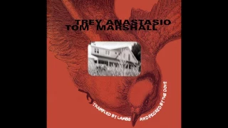 Trey Anastasio & Tom Marshall: No Regrets (Trampled By Lambs And Pecked By The Dove)