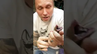 Gecko Bite!! VERY PAINFUL!!! Brian Barczyk #shorts