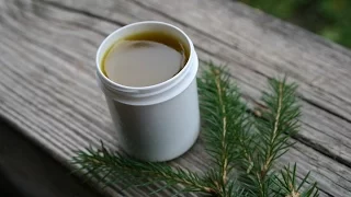 DIY: Spruce ointment yourself at Home