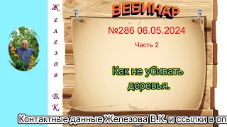 Железов Валерий.    Вебинар 286.    ч.  2.   Как не убивать деревья.