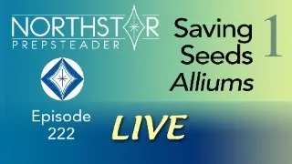 Savings Garden SEEDS #1 • NORTHSTAR Live! Ep. 222