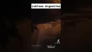 Lobison el hombre lobo argentino