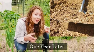 We covered 1/2 the garden in wood chips | One Year Later | Did it IMPROVE the Soil?