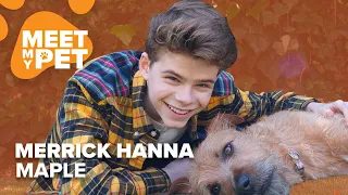 Merrick Hanna & Maple | MEET MY PET 🐾
