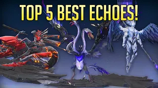 MOST USEFUL ECHOS! | Wuthering Waves guide