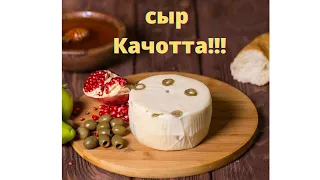 Сыр качотта