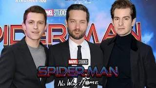 Tom Holland Finally Opens Up about Co-Stars Tobey Maguire and Andrew Garfield on set of Spider-Man