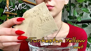 Мокрый Туркестан желтый🐯// wet Turkestan Yellow// ASMR CRUNCH