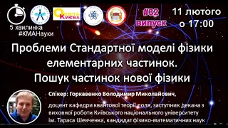 Проблеми Стандартної моделі фізики елементарних частинок. Пошук частинок нової фізики