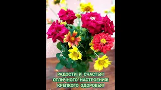 Доброго дня и хорошего настроения!☕Good day and good mood!☕