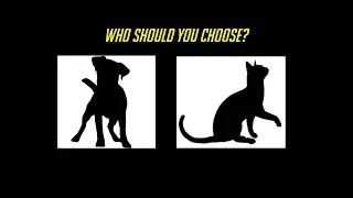 Cat vs Dog - Best Support Class