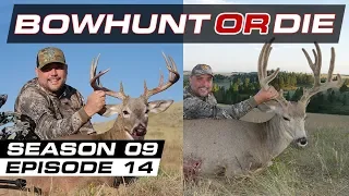 Giant Mule Deer Bow Hunt - Epic Spot & Stalk! | BHOD S9E14