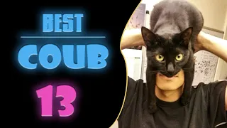 Best Coub 13 | Смешные коубы