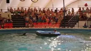 Дельфин катает ребенка на лодке