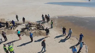 Breaching of Gamtoos River Mouth - Jeffreys Bay, South Africa