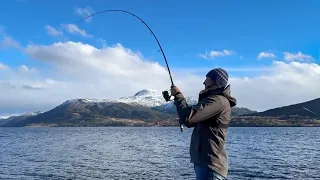 Рыбалка и ОБЗОР Спиннинга в Норвегии! Какой спиннинг выбрать для Норвегии?!