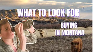 Watch before buying rural Montana property || Rural Montana Properties explained