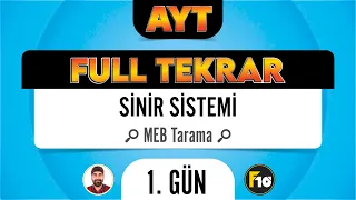 MEB Biyoloji Kitabı Sinir Sistemi Taraması F10 Full Tekrar Kampı