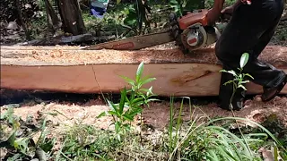 PAANO MAG CHAINSAW NG MAHOGANY?