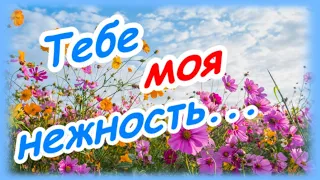 Моя нежность для тебя... Романтическая открытка