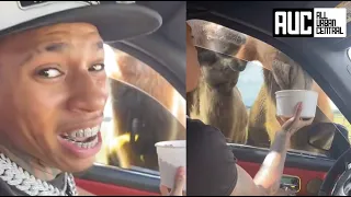 NLE Choppa Gets Attacked By Camels While Visiting The Zoo