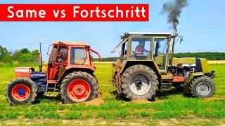 Same vs Fortschritt