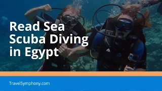 Read Sea Scuba Diving in Egypt, Sharm El-Sheikh – GoPro Underwater Video (Дайвинг в Красном море)