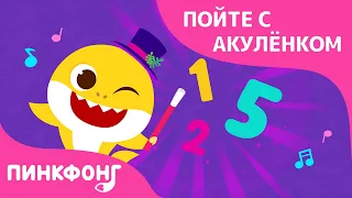 Акулёнок от 1 до 5 | Пойте с Акулёнком | Пинкфонг Песни для Детей