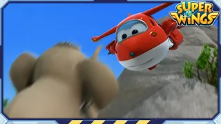 [SUPERWINGS S1] Boonying's Bath | EP25 | Superwings | SuperWings