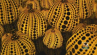 Immersive Miami Exhibit Using Pumpkins Is Mesmerizing